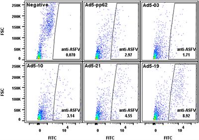 Immunization of pigs with replication-incompetent adenovirus-vectored African swine fever virus multi-antigens induced humoral immune responses but no protection following contact challenge